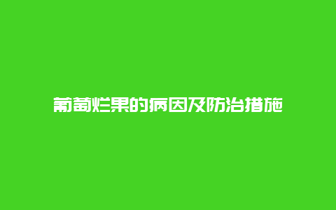 葡萄烂果的病因及防治措施