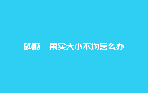 砂糖桔果实大小不均怎么办