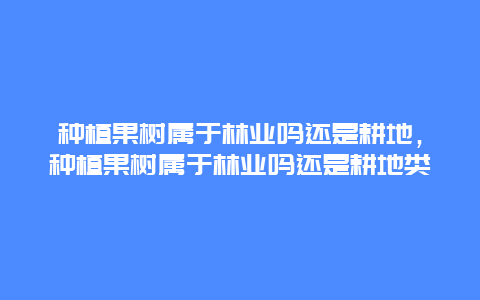 种植果树属于林业吗还是耕地，种植果树属于林业吗还是耕地类