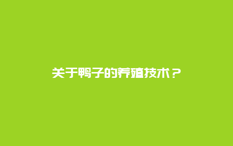 关于鸭子的养殖技术？