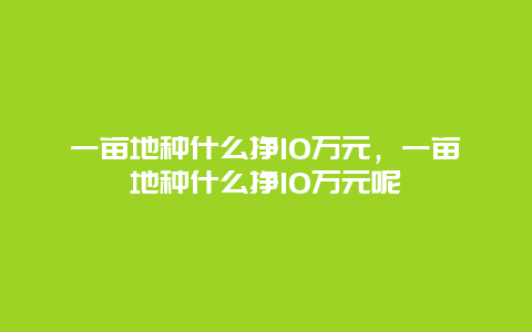 一亩地种什么挣10万元，一亩地种什么挣10万元呢