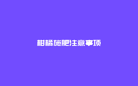 柑橘施肥注意事项