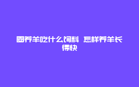 圈养羊吃什么饲料 怎样养羊长得快