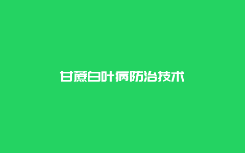 甘蔗白叶病防治技术