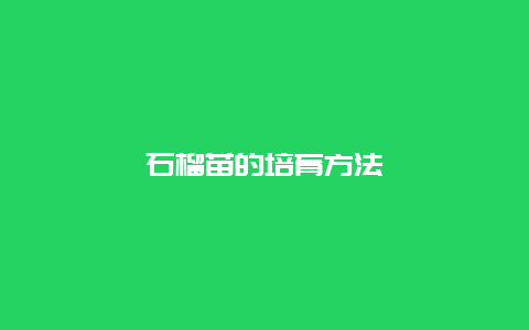 石榴苗的培育方法