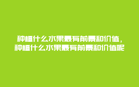 种植什么水果最有前景和价值，种植什么水果最有前景和价值呢