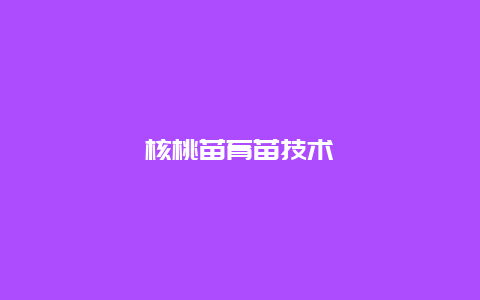 核桃苗育苗技术