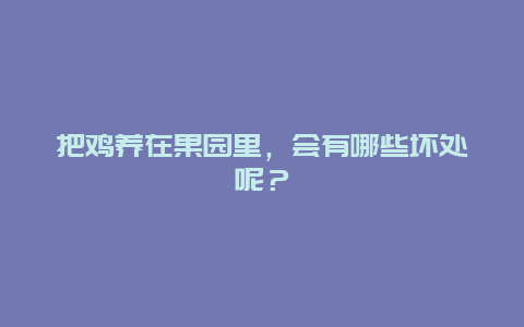 把鸡养在果园里，会有哪些坏处呢？