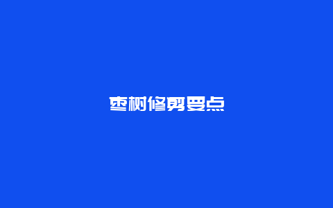 枣树修剪要点