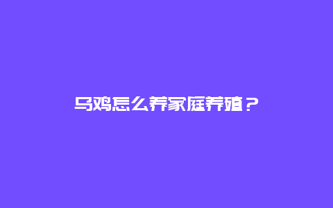 乌鸡怎么养家庭养殖？