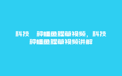 科技苑种植鱼腥草视频，科技苑种植鱼腥草视频讲解