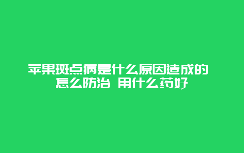 苹果斑点病是什么原因造成的 怎么防治 用什么药好