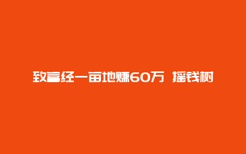 致富经一亩地赚60万 摇钱树