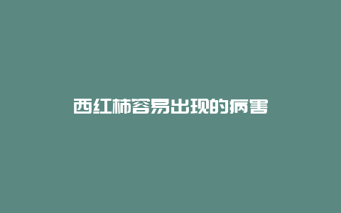 西红柿容易出现的病害