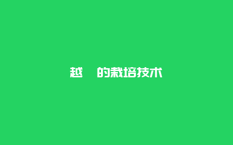 越桔的栽培技术