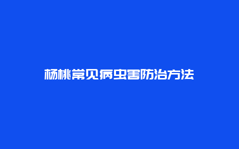 杨桃常见病虫害防治方法