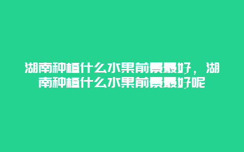 湖南种植什么水果前景最好，湖南种植什么水果前景最好呢