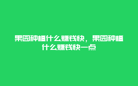 果园种植什么赚钱快，果园种植什么赚钱快一点