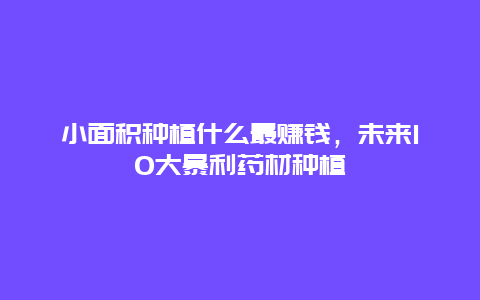 小面积种植什么最赚钱，未来10大暴利药材种植