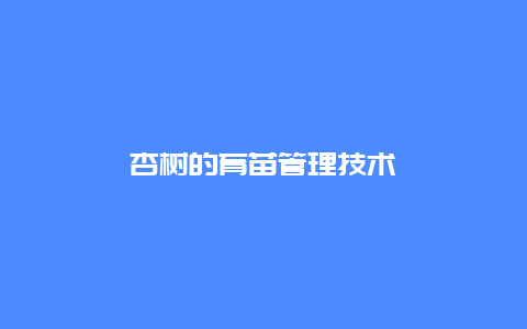 杏树的育苗管理技术