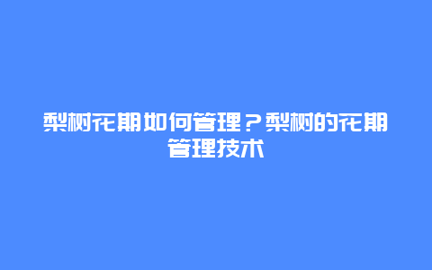 梨树花期如何管理？梨树的花期管理技术