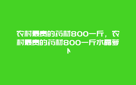 农村最贵的药材800一斤，农村最贵的药材800一斤水晶萝卜