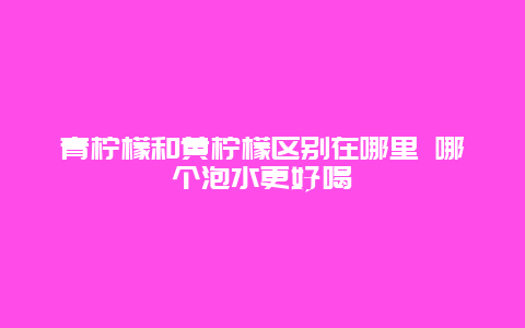 青柠檬和黄柠檬区别在哪里 哪个泡水更好喝