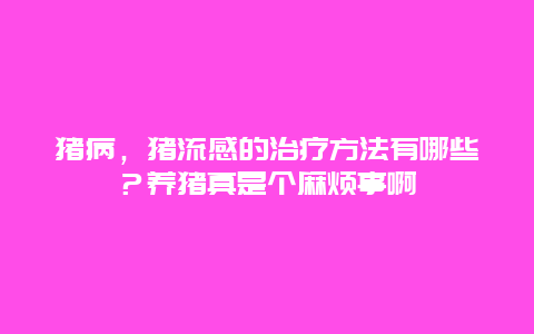 猪病，猪流感的治疗方法有哪些？养猪真是个麻烦事啊