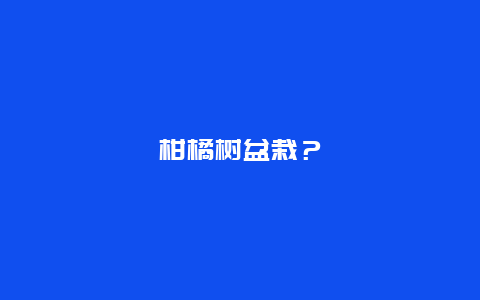 柑橘树盆栽？