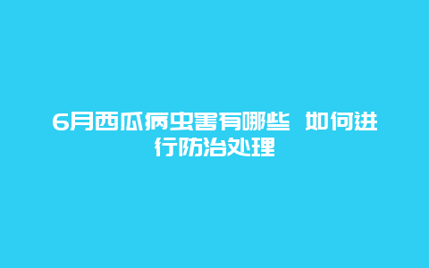 6月西瓜病虫害有哪些 如何进行防治处理