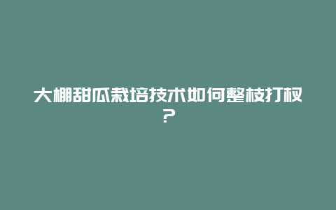 大棚甜瓜栽培技术如何整枝打杈？