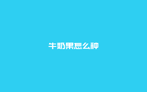 牛奶果怎么种