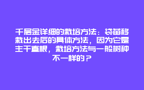 千层金详细的栽培方法：袋苗移栽出去后的具体方法，因为它是主干直根，栽培方法与一般树种不一样的？