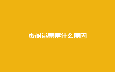 枣树落果是什么原因