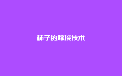 柿子的嫁接技术