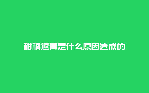 柑橘返青是什么原因造成的