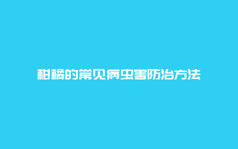 柑橘的常见病虫害防治方法