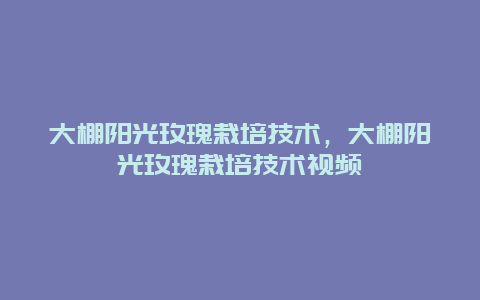 大棚阳光玫瑰栽培技术，大棚阳光玫瑰栽培技术视频