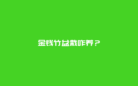 金钱竹盆栽咋养？