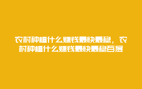 农村种植什么赚钱最快最稳，农村种植什么赚钱最快最稳百度