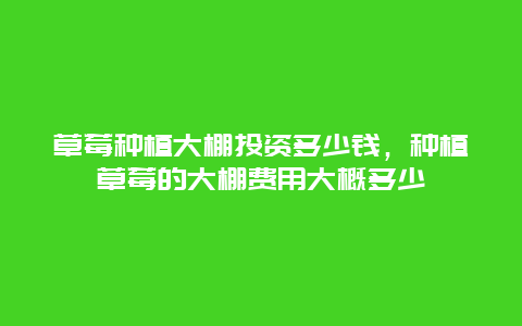 草莓种植大棚投资多少钱，种植草莓的大棚费用大概多少