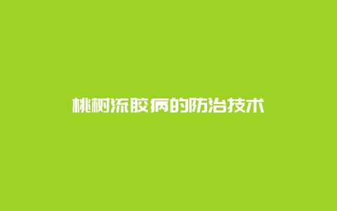 桃树流胶病的防治技术