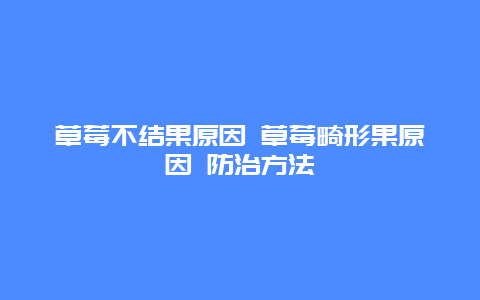 草莓不结果原因 草莓畸形果原因 防治方法