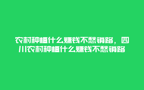 农村种植什么赚钱不愁销路，四川农村种植什么赚钱不愁销路