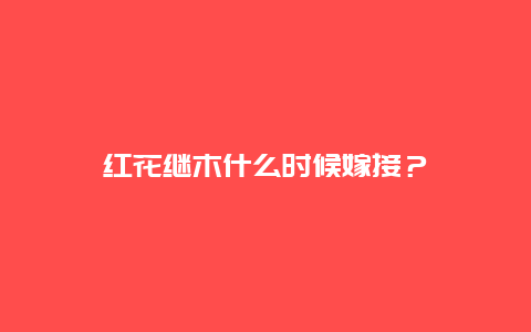 红花继木什么时候嫁接？