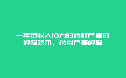 一年亩收入10万的药材芦荟的种植技术，药用芦荟种植