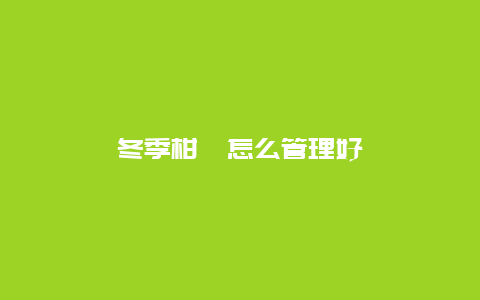 冬季柑桔怎么管理好