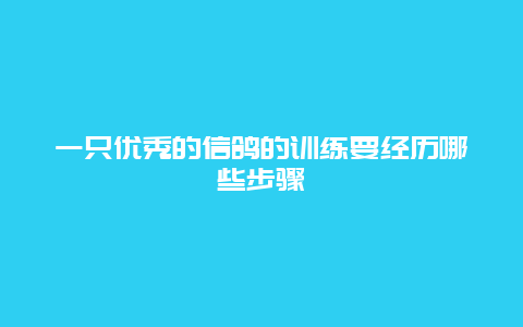 一只优秀的信鸽的训练要经历哪些步骤