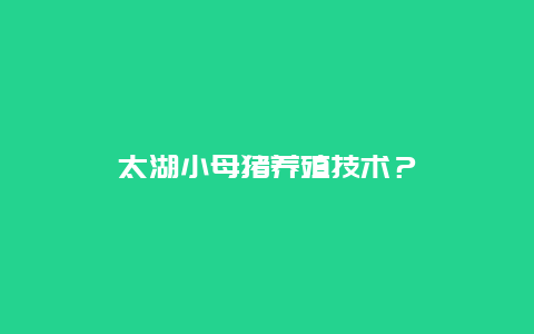 太湖小母猪养殖技术？