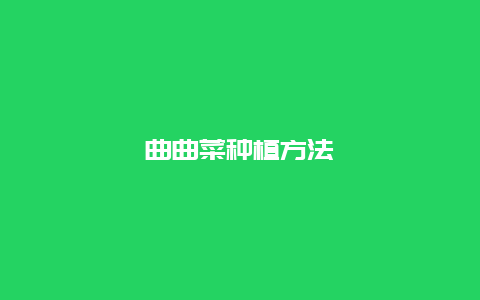 曲曲菜种植方法